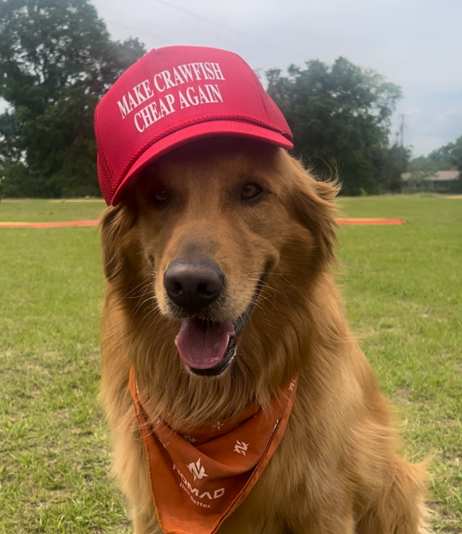 MAKE CRAWFISH CHEAP AGAIN